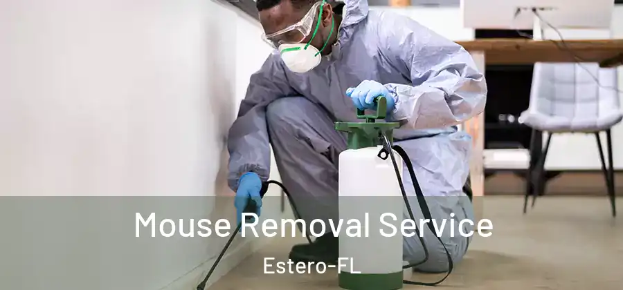  Mouse Removal Service Estero-FL