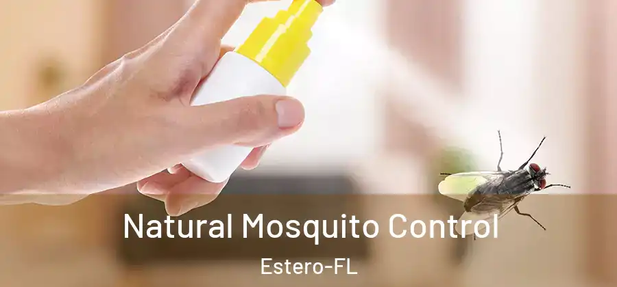  Natural Mosquito Control Estero-FL