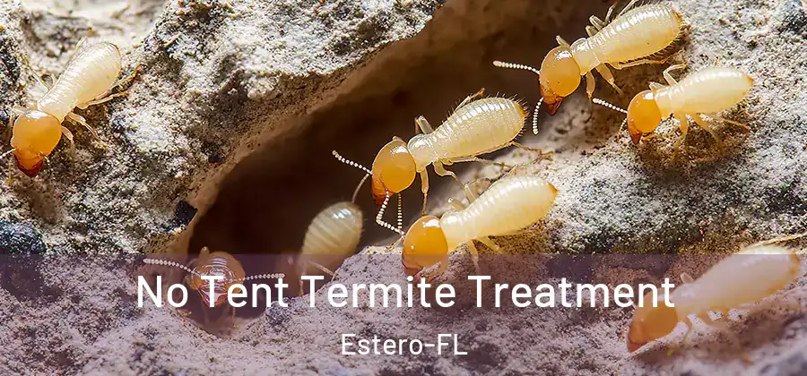 No Tent Termite Treatment Estero-FL