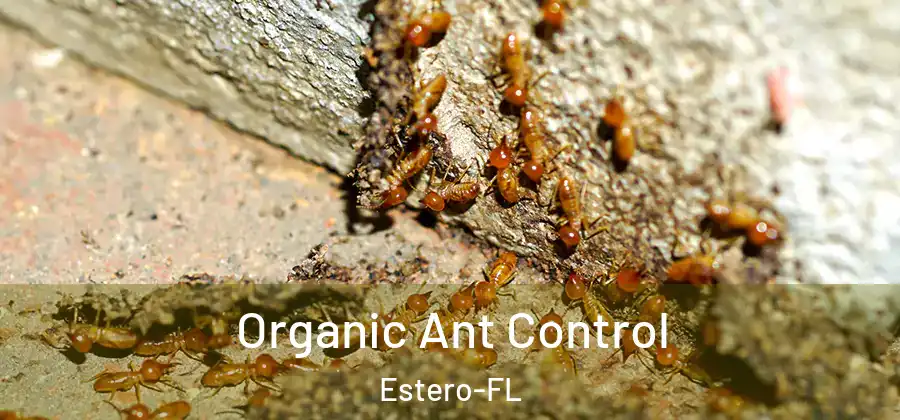  Organic Ant Control Estero-FL
