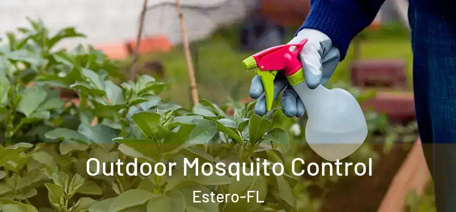  Outdoor Mosquito Control Estero-FL