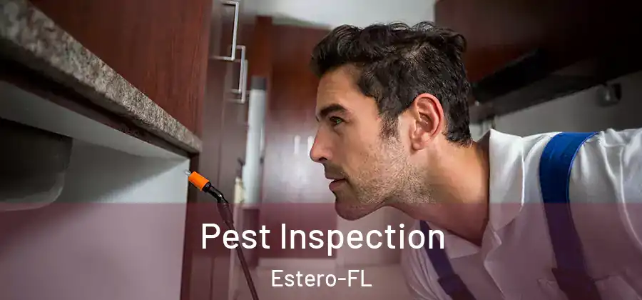  Pest Inspection Estero-FL