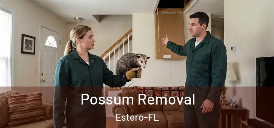  Possum Removal Estero-FL