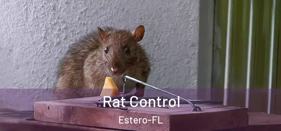  Rat Control Estero-FL
