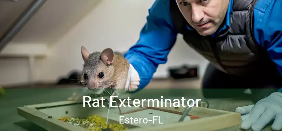  Rat Exterminator Estero-FL