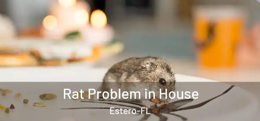  Rat Problem in House Estero-FL