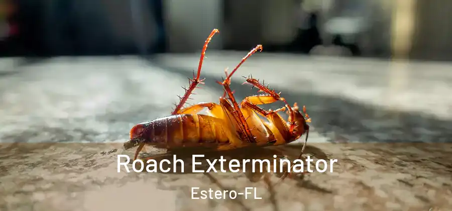 Roach Exterminator Estero-FL