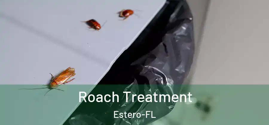  Roach Treatment Estero-FL