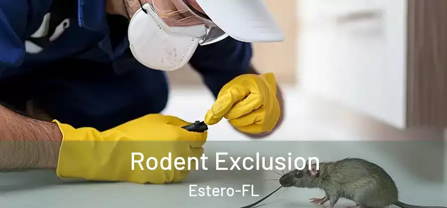  Rodent Exclusion Estero-FL