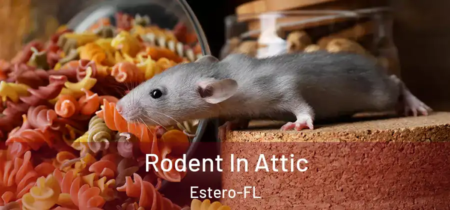 Rodent In Attic Estero-FL