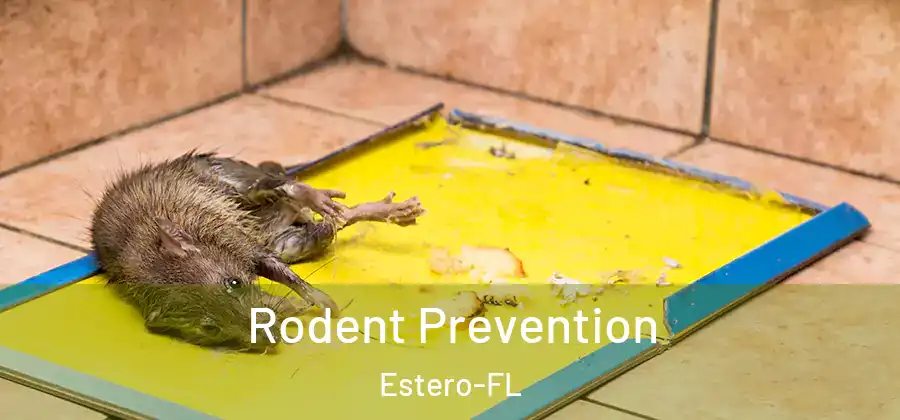  Rodent Prevention Estero-FL