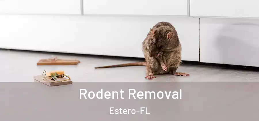  Rodent Removal Estero-FL