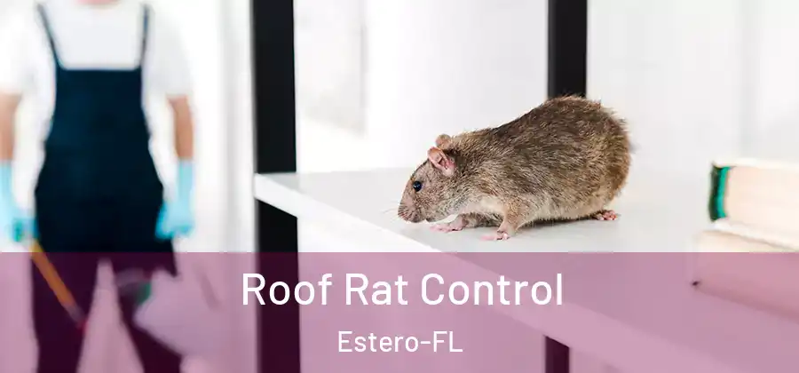  Roof Rat Control Estero-FL