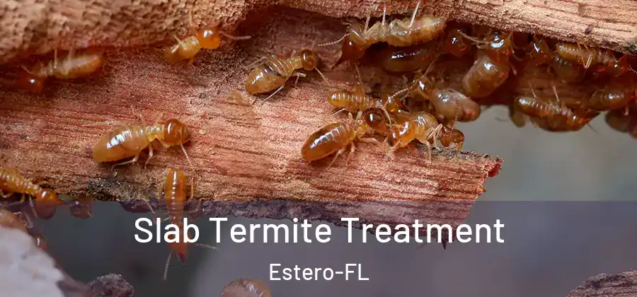  Slab Termite Treatment Estero-FL