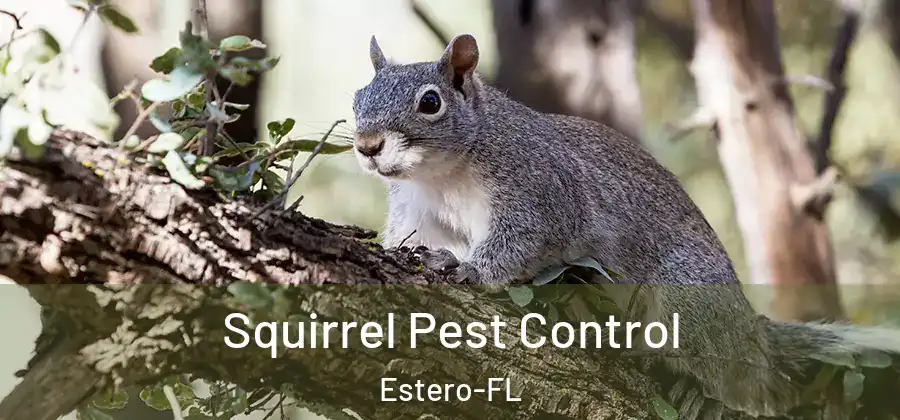 Squirrel Pest Control Estero-FL