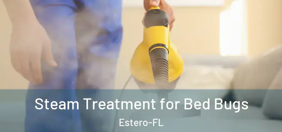 Steam Treatment for Bed Bugs Estero-FL