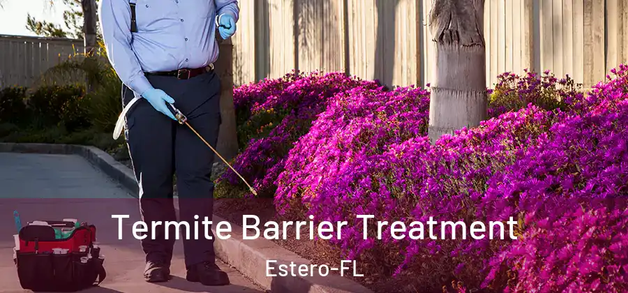  Termite Barrier Treatment Estero-FL