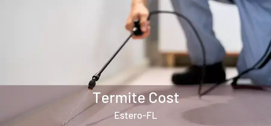  Termite Cost Estero-FL