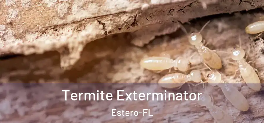  Termite Exterminator Estero-FL