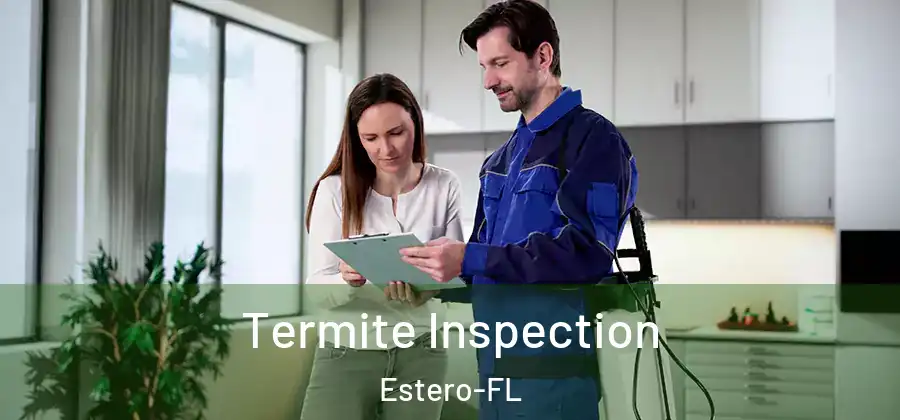  Termite Inspection Estero-FL