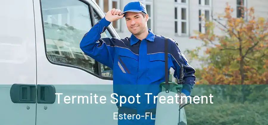  Termite Spot Treatment Estero-FL