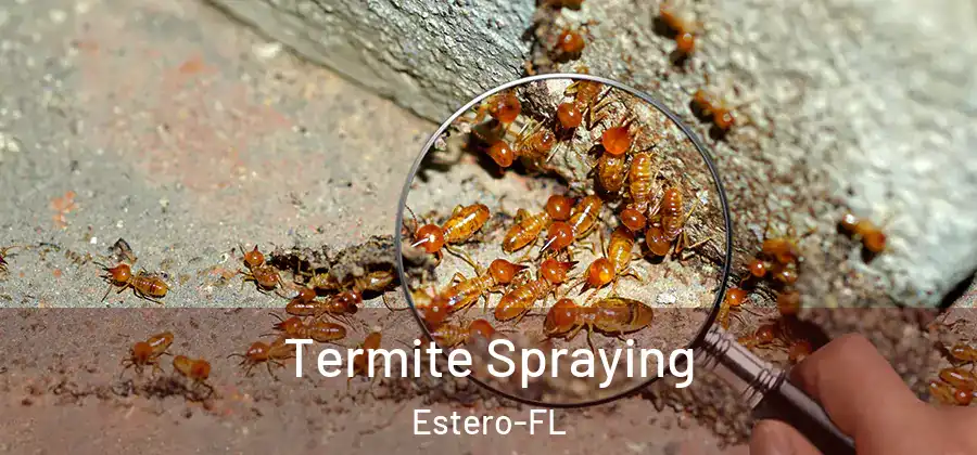  Termite Spraying Estero-FL