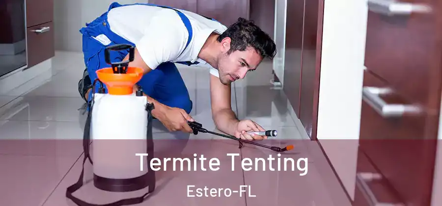  Termite Tenting Estero-FL