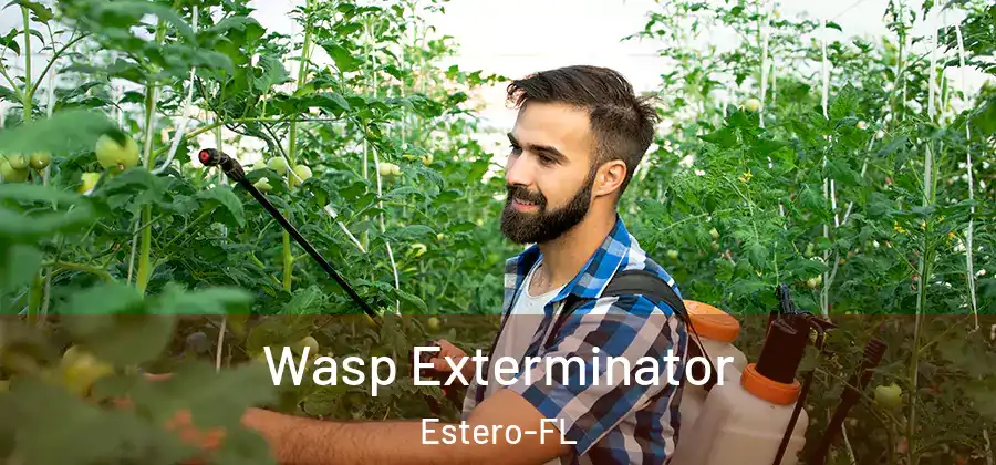  Wasp Exterminator Estero-FL
