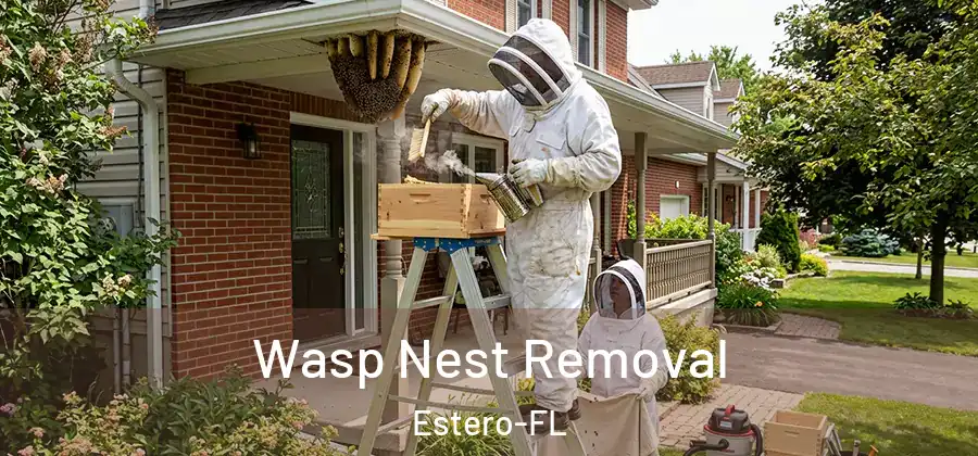  Wasp Nest Removal Estero-FL