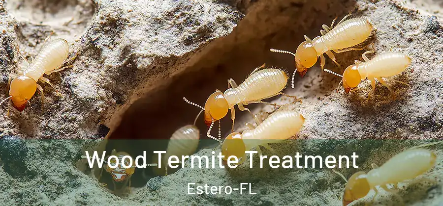  Wood Termite Treatment Estero-FL