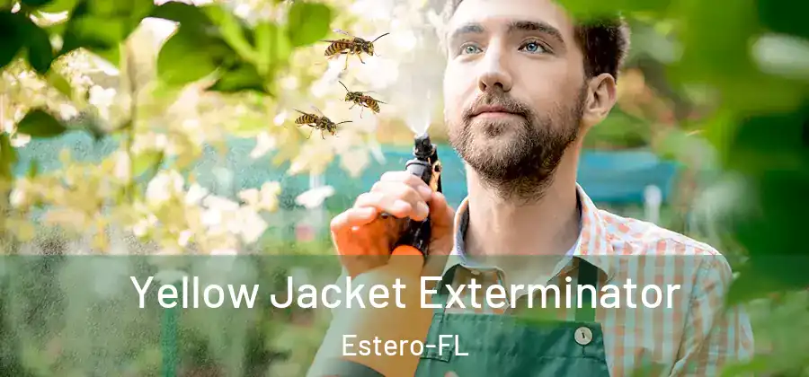  Yellow Jacket Exterminator Estero-FL
